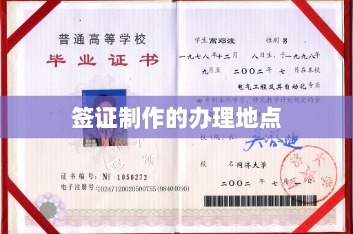 辰溪签证制作的办理地点