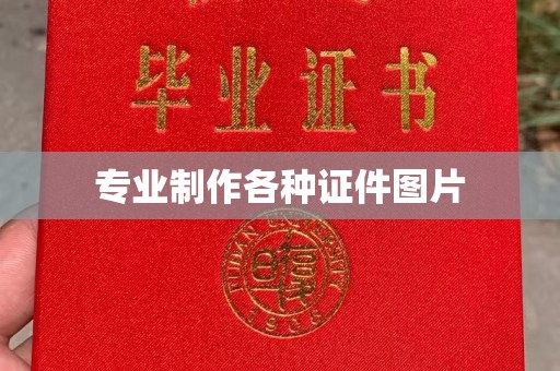辰溪专业制作各种证件图片