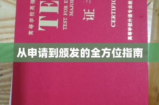 辰溪从申请到颁发的全方位指南
