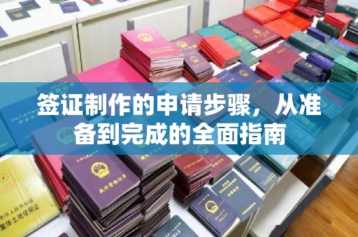 辰溪签证制作的申请步骤，从准备到完成的全面指南