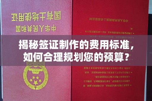 辰溪揭秘签证制作的费用标准，如何合理规划您的预算？
