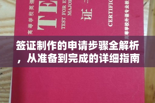 辰溪签证制作的申请步骤全解析，从准备到完成的详细指南