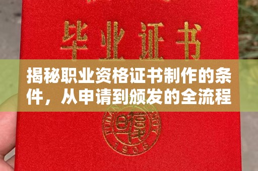 辰溪揭秘职业资格证书制作的条件，从申请到颁发的全流程解析