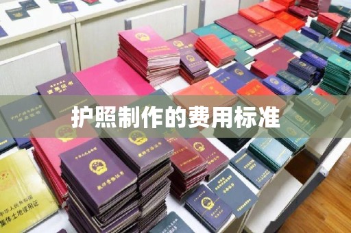 辰溪护照制作的费用标准
