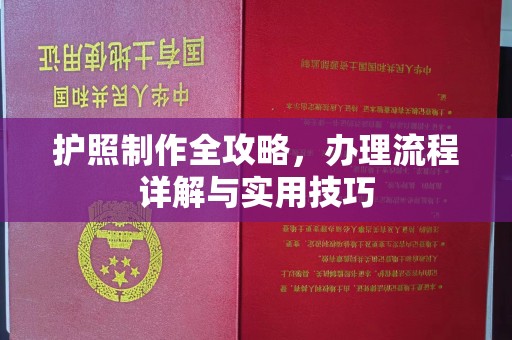 辰溪护照制作全攻略，办理流程详解与实用技巧